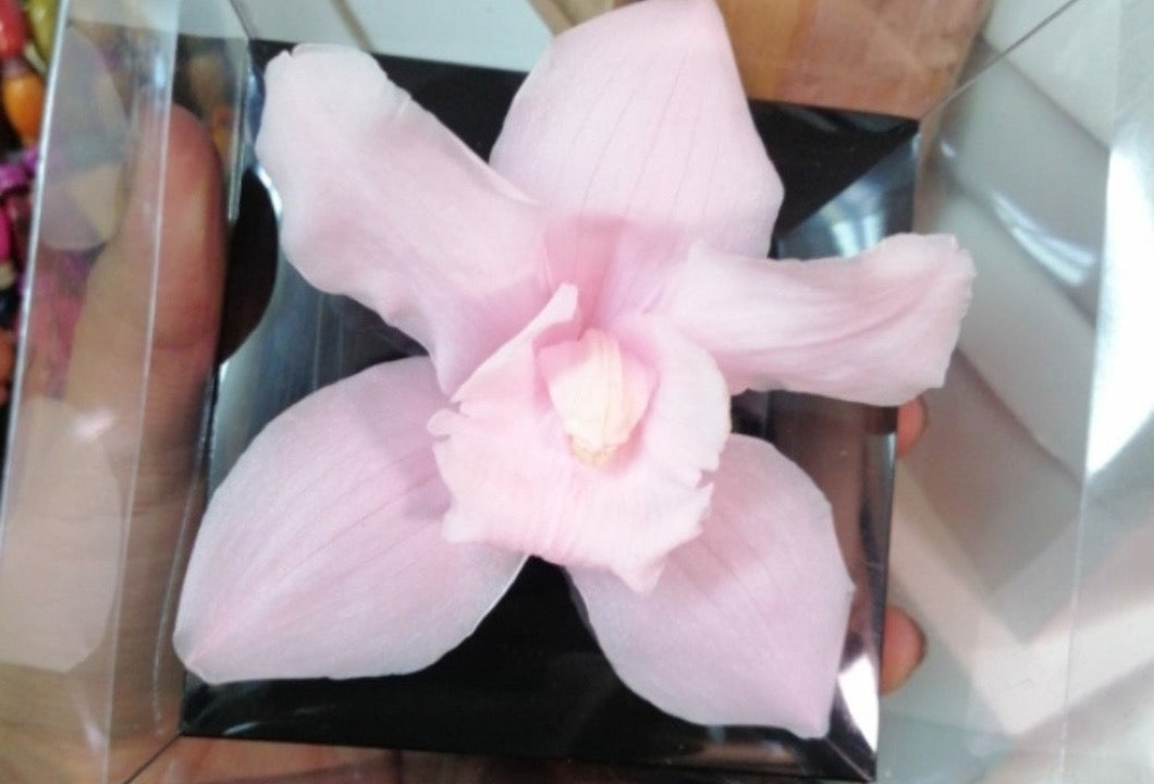 Orchid Crystal"